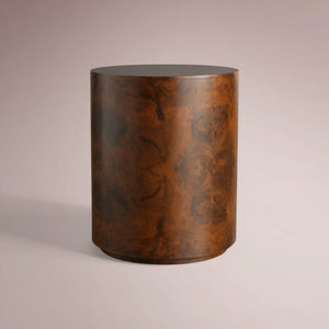 Kiana Burl End Table