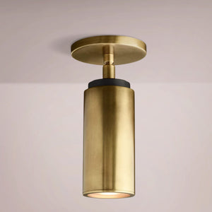 Champaul Pivoting Flushmount