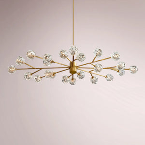 Multiaspect Cristal Glass Oval Chandelier