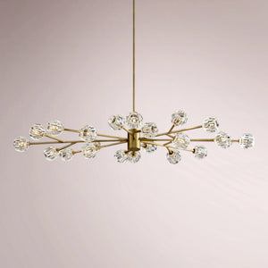 Multiaspect Cristal Glass Oval Chandelier