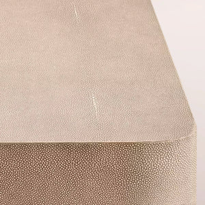 Linee Shagreen Rectangular Plinth Coffee Table
